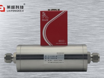超大量程氣體質(zhì)量流量計LF-A031圖片4